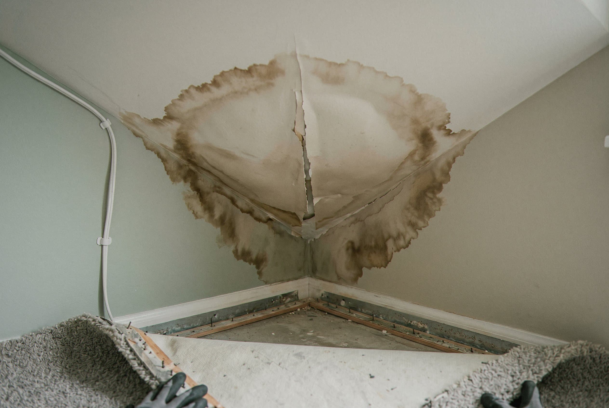 Ceiling damaged from water intrusion