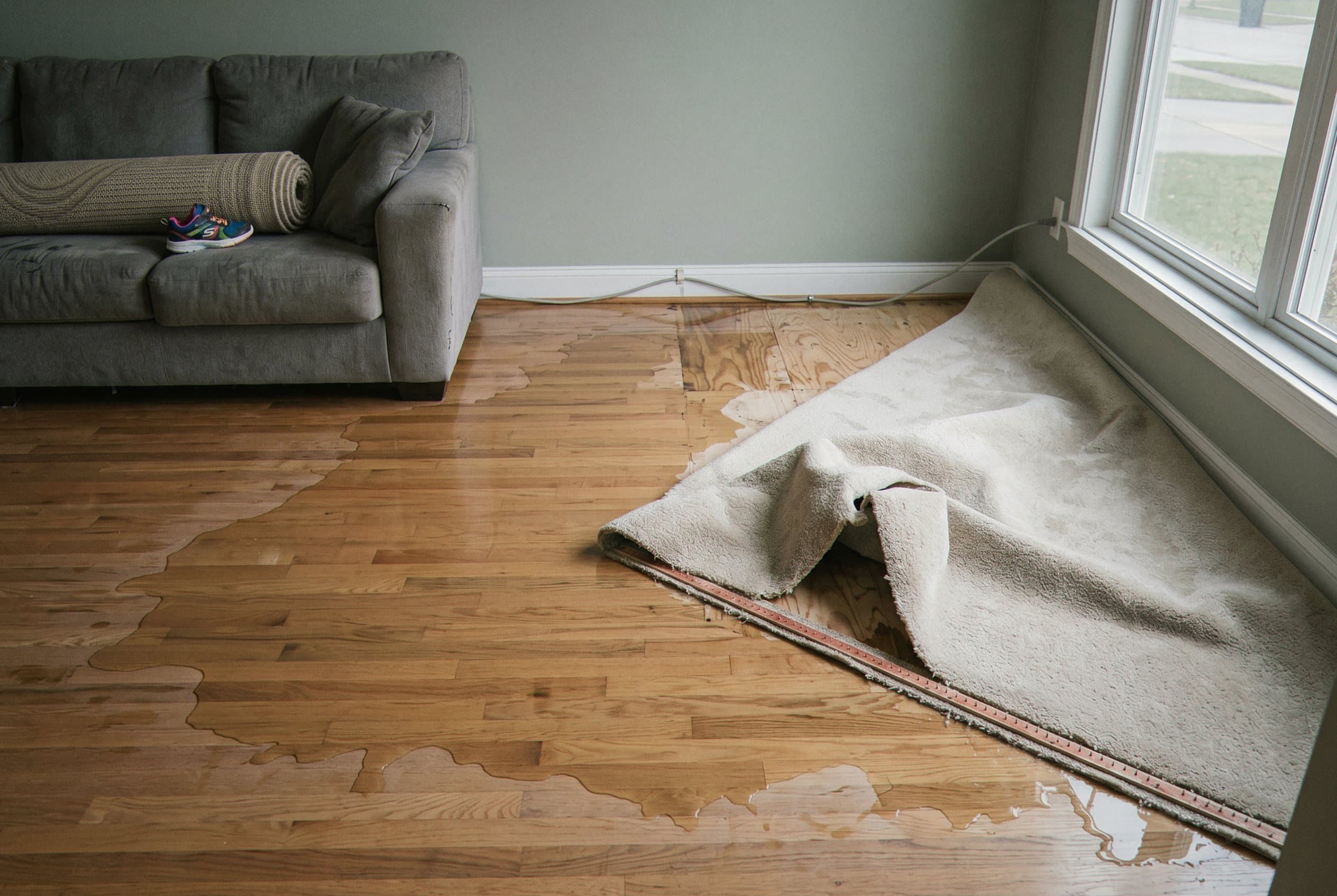 Tech examining water damage with meter